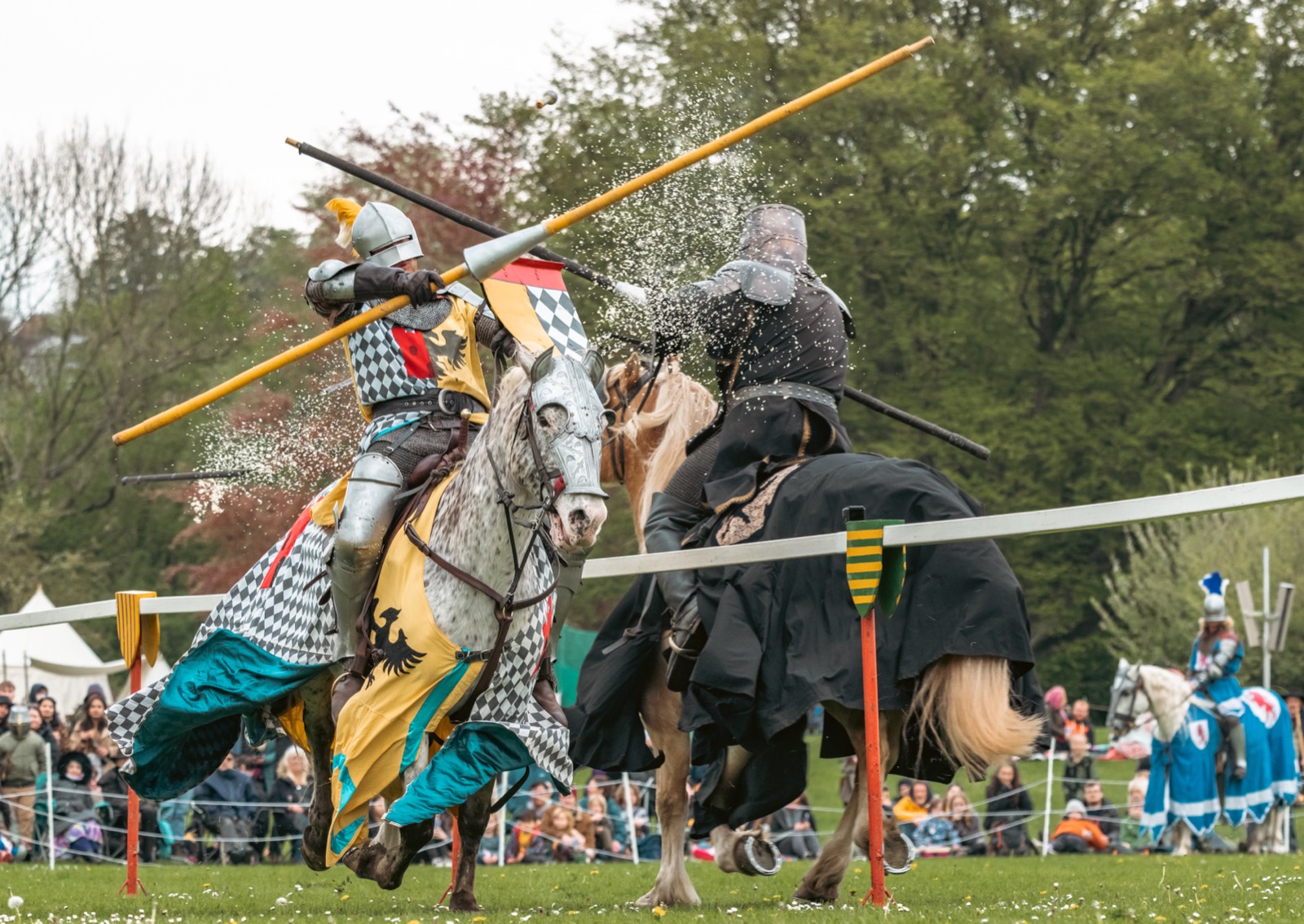 Knights of Albion Jousting Show