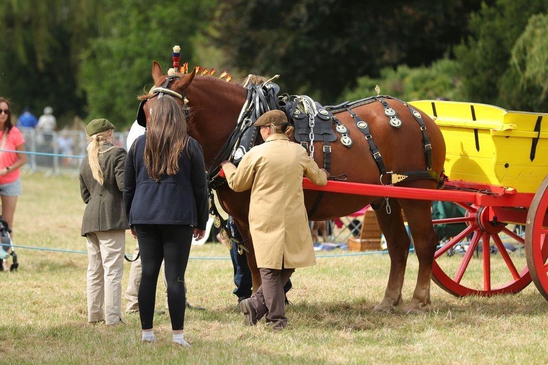 Horse Show