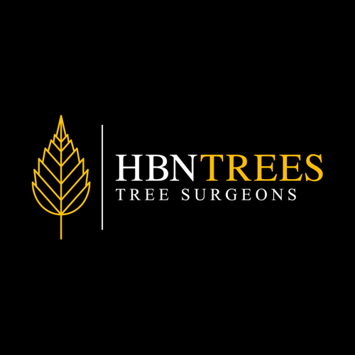HBN Trees